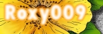 http://www.pise.cz/blog/ftp/roxy009/ikonka_16.jpg