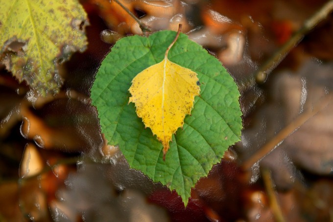 Image00005